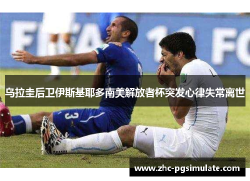 乌拉圭后卫伊斯基耶多南美解放者杯突发心律失常离世