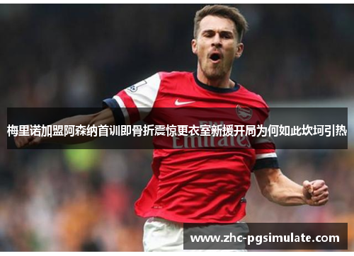梅里诺加盟阿森纳首训即骨折震惊更衣室新援开局为何如此坎坷引热